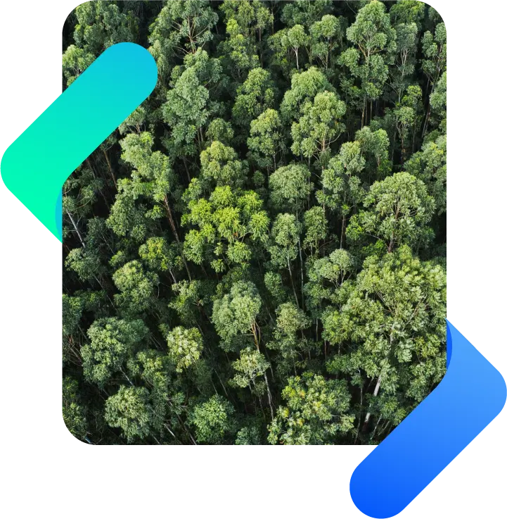 Vista aérea de floresta associada ao controle ambiental